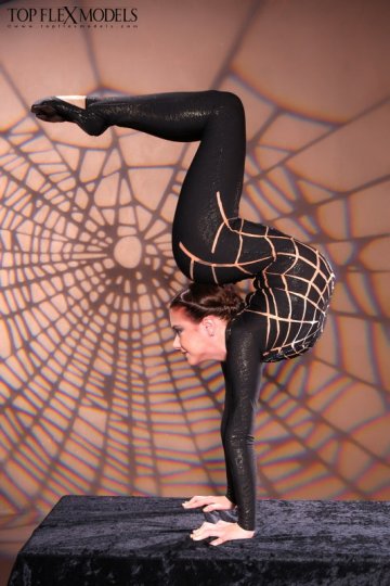 Flexible spider